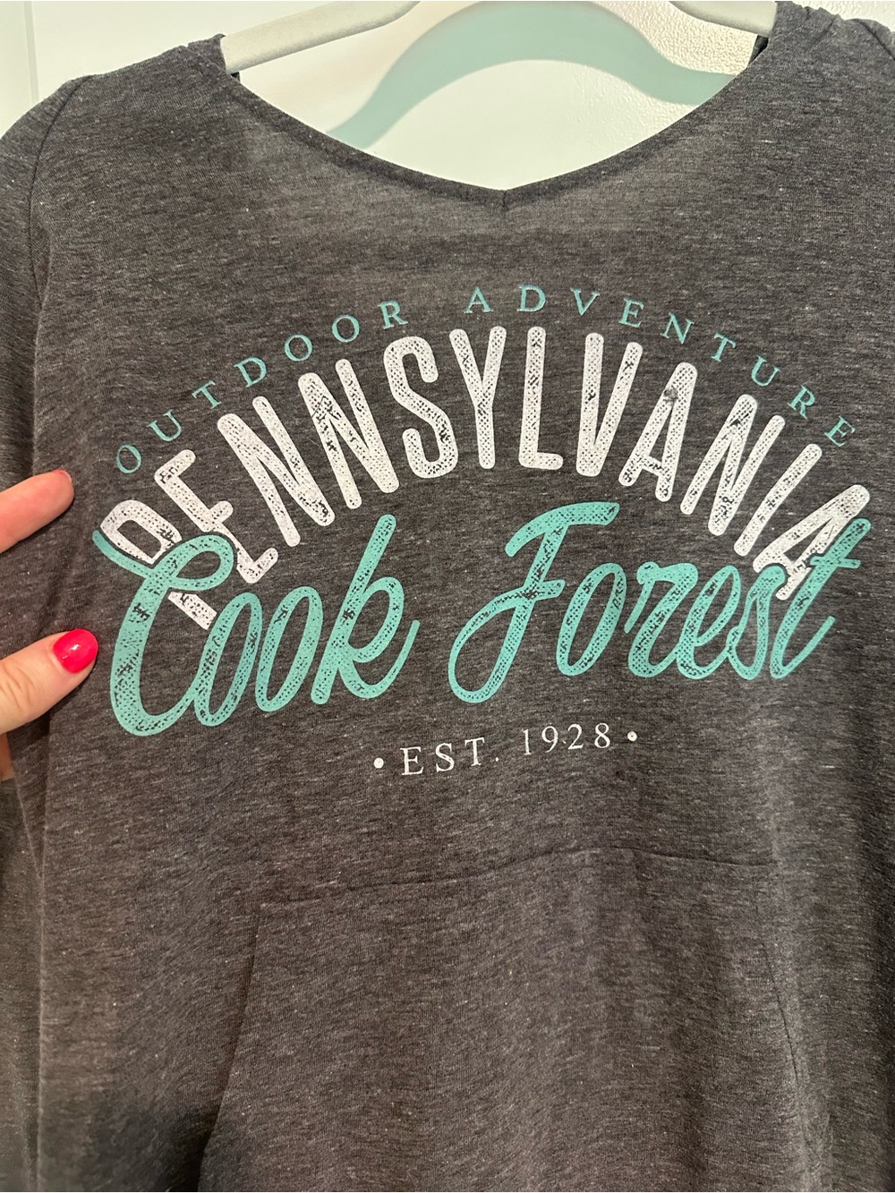 Pennsylvania Cook Forest Graphic Long-Sleeve Hooded T-Shirt - Picture 2 of 5